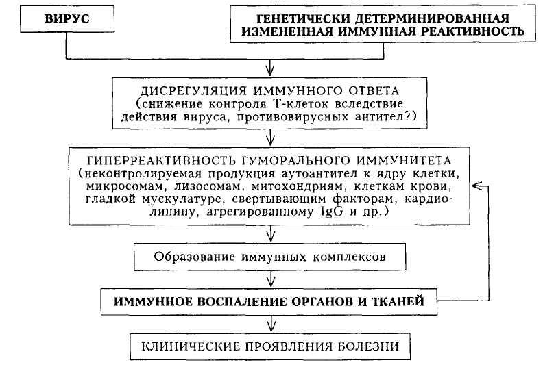 красная волчанка (главный ключ)